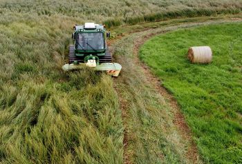 Ernte von Nasswiesenheu (Bild: Tobias Dahms)
