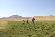 Peatlands in the Uzbek Nuratau (Photo: L. Hebermehl)