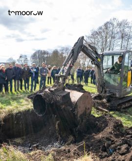 Spatenstich im Sernitz-Moor (Foto: Lucas Treise/BioFilm/Michael Succow Stiftung)