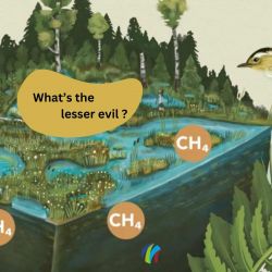 SOM-Card for film "Why methane emissions do not undermine peatland rewetting (Illustration: Sarah Heuzeroth)