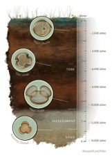 Bodenprofil Postkarte A6