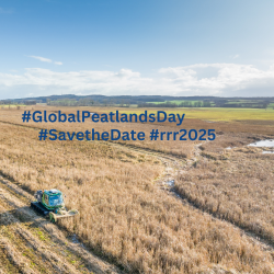 Wet landscape. Save the date for RRR2025.