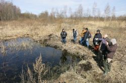 Excursion to pilot sites for reed cultivation of the Peat Institute/Tver State Technical University  (Photo: Jan Peters)