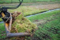 Ernte von Torfmoosen (Foto: Tobias Dahms)