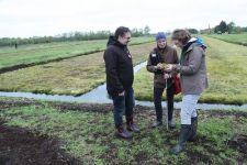 MdB Peter Meiwald (Bündnis90/Die Grünen, links) informiert sich zu Torfmoosen (Foto: St. Busse)