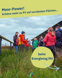 Menschen auf einer Moor Photovoltaik Fläche, Bildcredit: Wattmanufaktur