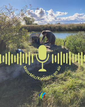 Installation der Hörstation MoorMic/KoosMic (Bild: N. Koerner)