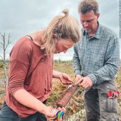 Hanna Rae Martens and Jürgen Kreyling analysing a peatcore (Credit: Tom Andersch)