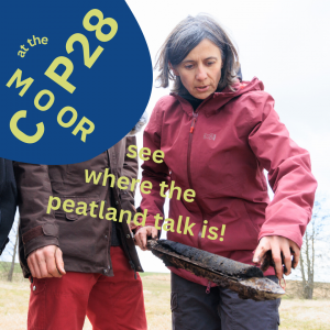 SOM Card zu Moor-Veranstaltungen auf der COP (Photo: Jan Lessmann)