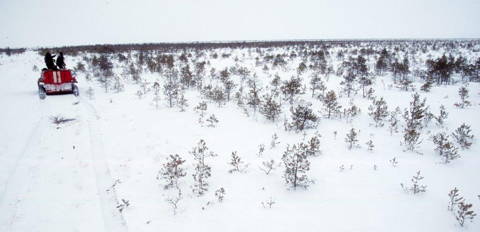 Winter in Vasjugan mire complex (Photo: H. Joosten)